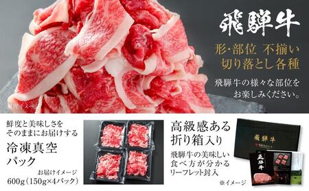 【ふるなび限定】牛肉 訳あり 飛騨牛 切り落とし 600g 牛肉 MZ012 切り落とし FN-Limited-PR