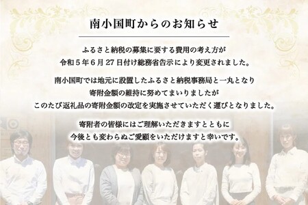 【黒川温泉発】阿蘇の浅漬け ～高菜セット～