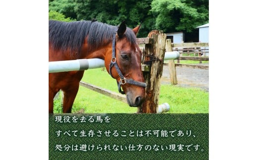 競走馬 引退後はどこへ？ 黒潮友馬会応援 【10万円コース】 10万円コース