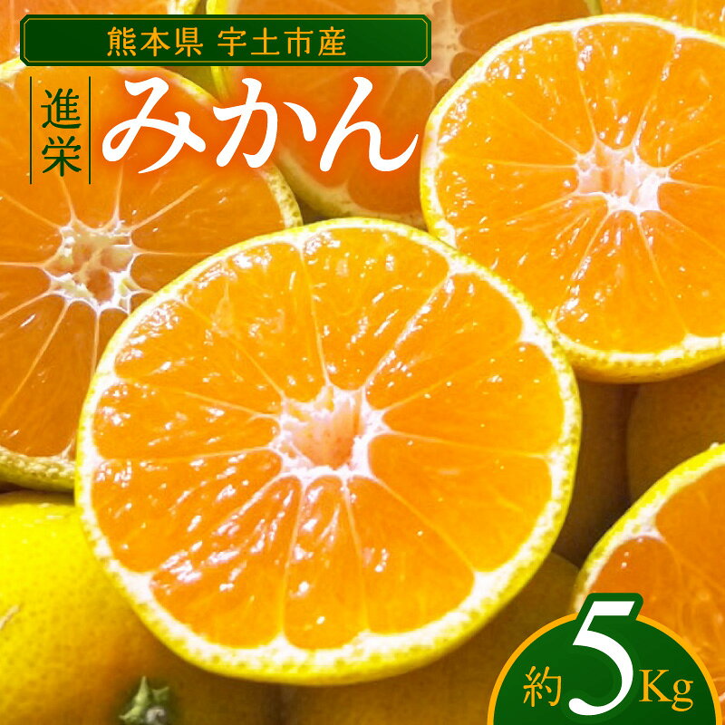 【ふるさと納税】【令和8年熊本地震復興支援】 熊本県産 みかん 約 5kg_U68-0151 柑橘 果物 フルーツ 果実 秋の味覚 10月 11月 お届け 期間限定 ビタミンC ジューシー 甘酸っぱい デザート おやつ 食品 お取り寄せ お取り寄せフルーツ 送料無料 【熊本県宇土市】