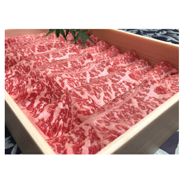 【ふるさと納税】福井県のブランド牛 若狭牛 ローススライス 500g お肉 牛肉