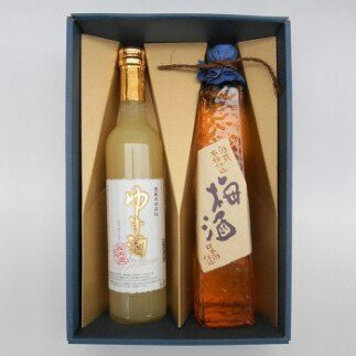 【ふるさと納税】10-11　リキュールセット | お酒 酒 おさけ リキュール 果実酒 ゆず酒 梅酒 セット プレゼント ギフト 贈り物 贈答 家飲み 栃木県※着日指定不可