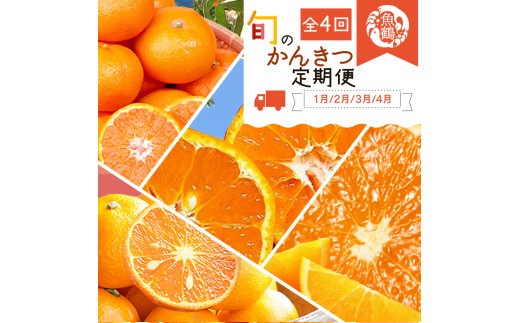 
            【全4回】紀州和歌山産旬のご家庭用柑橘セット(みかん・不知火・せとか・清見)【tkb412】
          