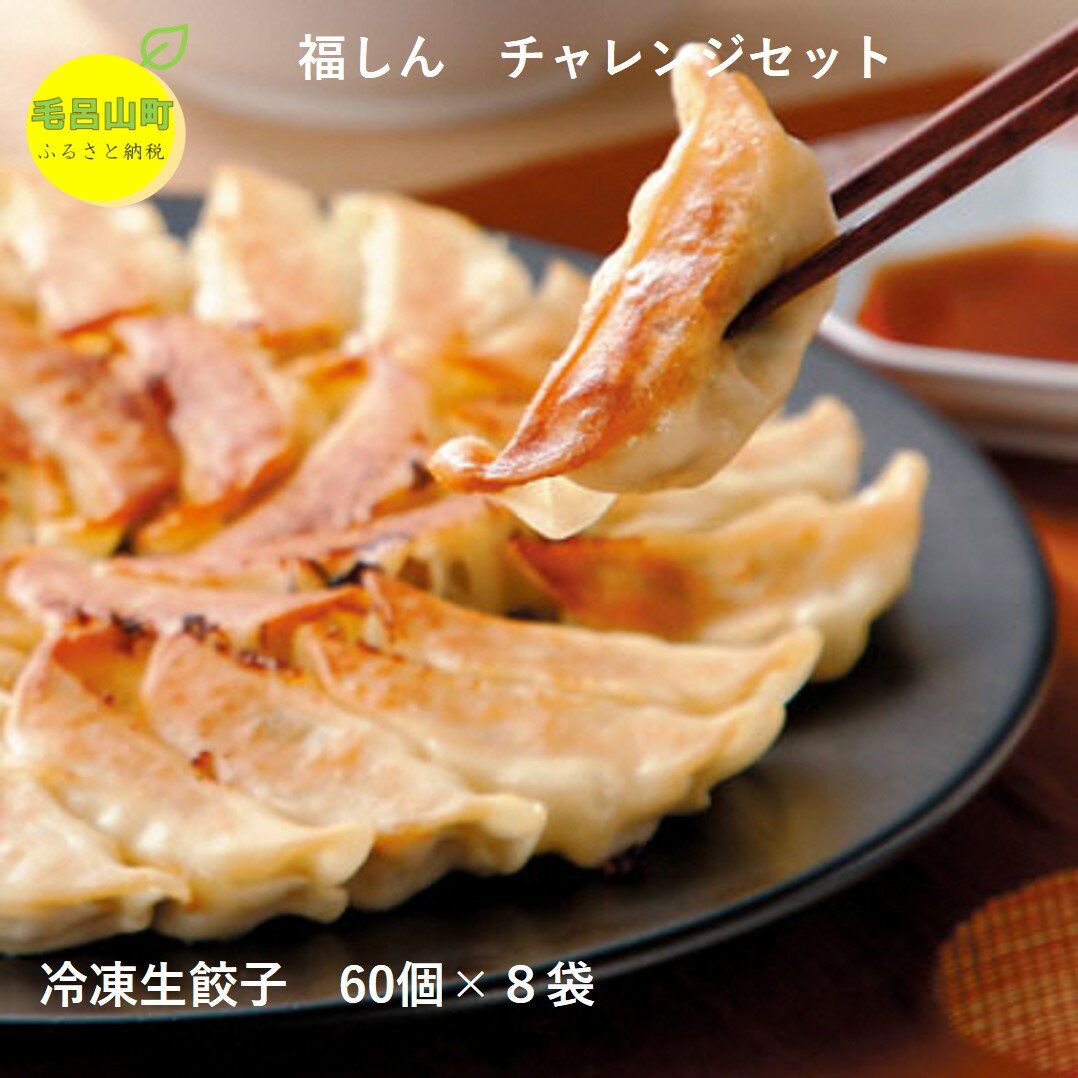 【ふるさと納税】【中華チェーン福しん】 おうちで福しん餃子チャレンジセット（餃子480個） 福しん 餃子 ぎょうざ ギョウザ 冷凍餃子 中華 おかず 埼玉県 毛呂山町 ふるさと納税