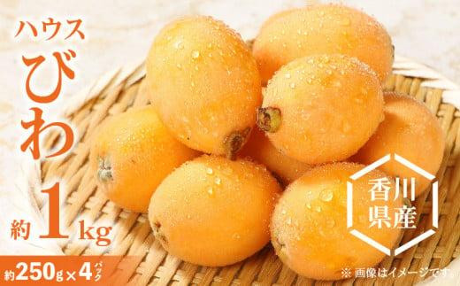
                  ハウスびわ 約1kg【2027-4月中旬～2027-5月下旬配送】
                