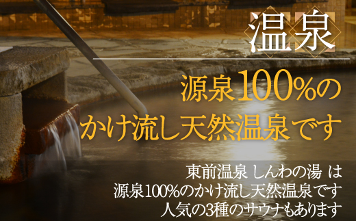 【源泉100％かけ流し】東前温泉 しんわの湯　温泉入浴券（2枚入り） HOKAA006