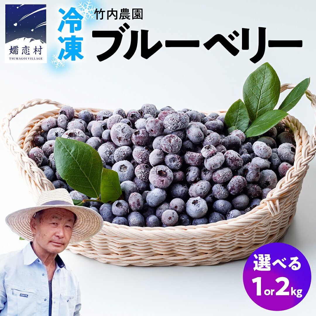 【ふるさと納税】冷凍ブルーベリー 1kg 2kg 国産 群馬県 フルーツ 果物 北軽井沢ブルーベリー園 お取り寄せ 産地直送 ジャム スムージー ヨーグルト