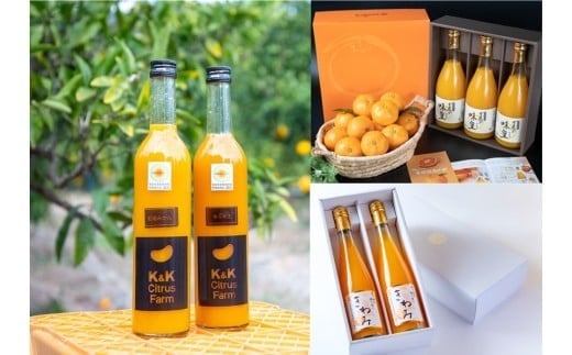 M508　【定期便】　みかんジュース飲み比べ（２）