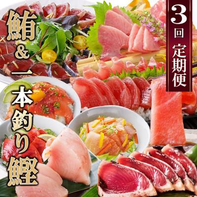 ふるさと納税 枕崎市 定期便(3ケ月)枕崎ふるさと納税　まぐろ&amp;一本釣りかつお LL-6001