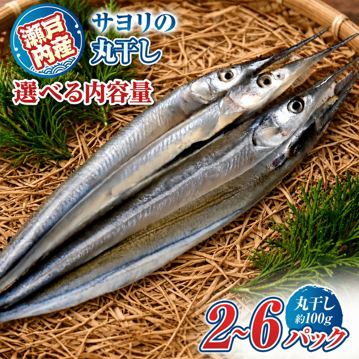 【ふるさと納税】 瀬戸内海 産 サヨリ 丸干し 選べる 内容量 （ 赤穂 の 塩 のみ 使用 ） ｜ 魚 干物 つまみ 珍味 乾物 海の幸 海産物 瀬戸内 山口県 平生町