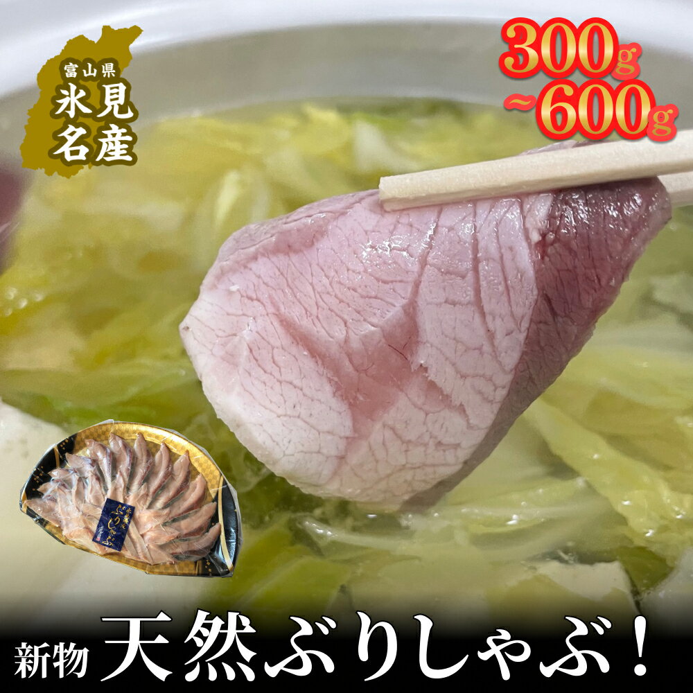 【ふるさと納税】【氷見鰤】新物天然ぶりしゃぶ！300gまたは 300g×2 2〜3人用/1パック ＜2025年12月以降順次発送＞ | 天然ブリ しゃぶしゃぶ 氷見漁港