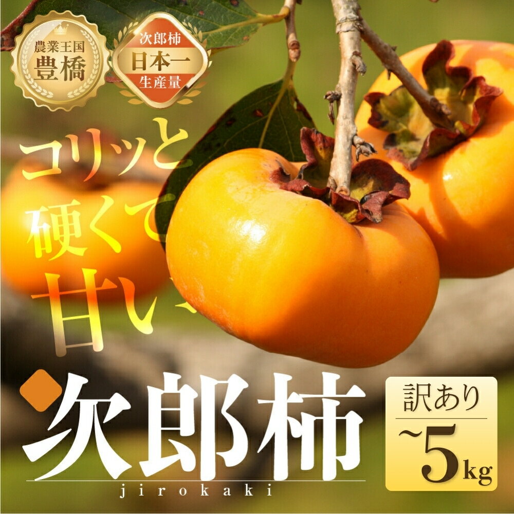 【ふるさと納税】≪先行予約≫ 次郎柿 訳あり 選べる容量 【小箱:約16個 / 平箱:約20~25個】4kg 5kg ほぼ 種無し 柿 カキ かき 果物 フルーツ 旬 甘い スイーツ おやつ 高糖度 特産品 産地直送 わけあり ワケあり 愛知県 豊橋市