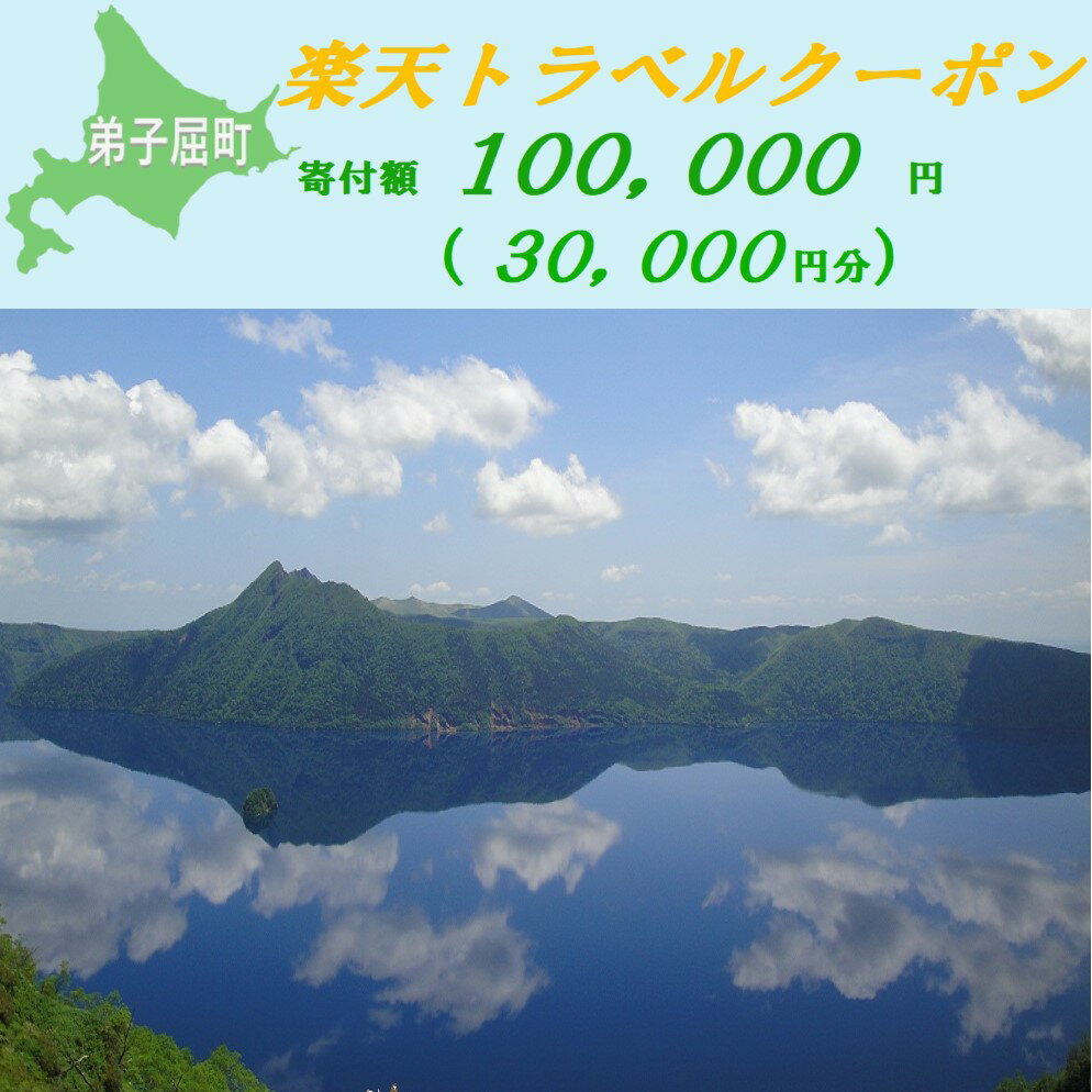 【ふるさと納税】【北海道ツアー】978.北海道弟子屈町の対象施設で使える楽天トラベルクーポン 旅行クーポン 北海道 旅行 北海道 宿泊セット 体験 寄付額100,000円