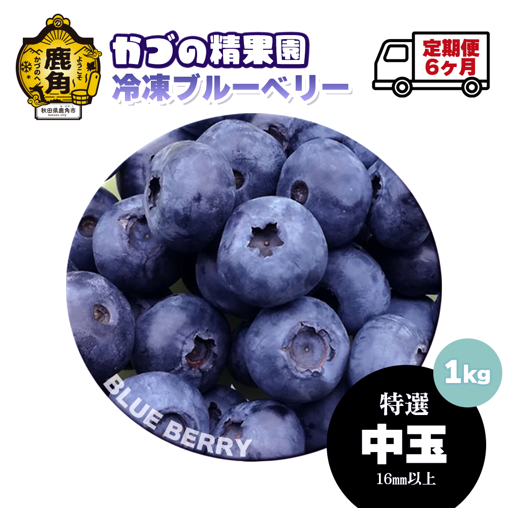 【定期便】ブルーベリー （冷凍）特選 中玉 1kg × 6ヶ月【かづの精果園】