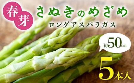 【先行予約2027年2月～5月頃お届け】春芽 さぬきのめざめ 約50cmロングアスパラガス ５本入り アスパラ サラダ お弁当 おかず フレッシュ 新鮮 琴平 香川 F5J-761