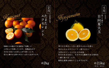 南国宮崎 旬の《至高》フルーツ定期便 偶数月コース（計6回） 【F96】