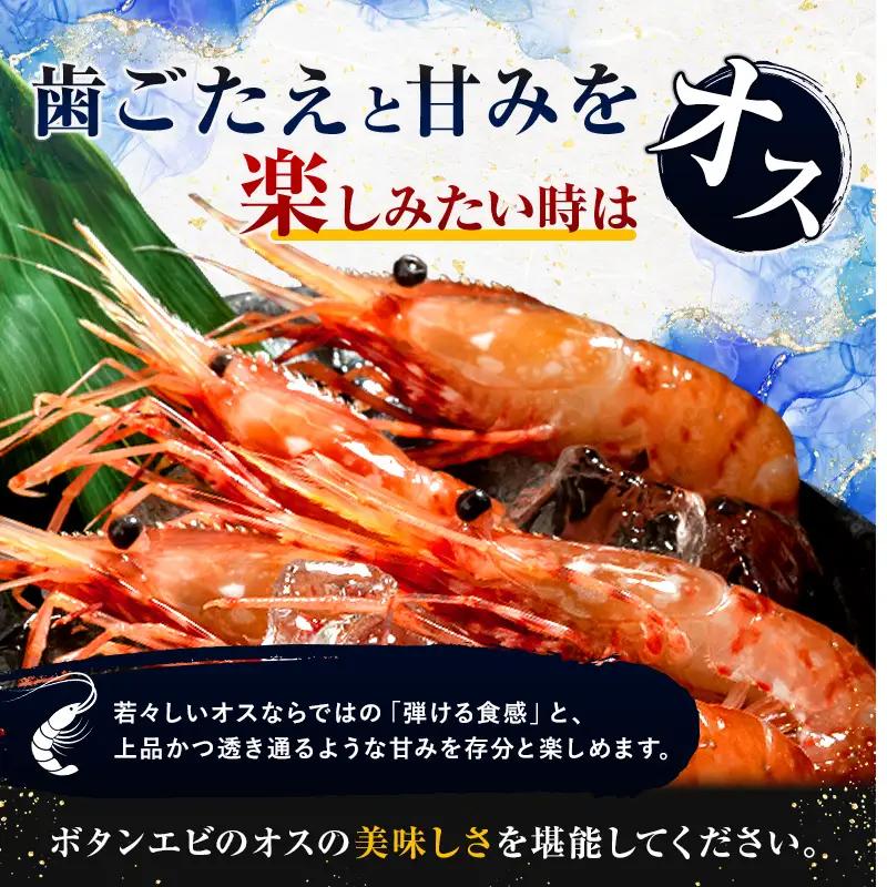 【新物】冷凍ボタンエビ（オス）1kg（500g×2） ＜海鮮問屋　株式会社　瑞宝＞ えび エビ 海老 ぼたんえび ぼたん海老 ボタン海老 ボタンエビ ぼたんエビ 牡丹海老 北海道 森町 ふるさと納税 