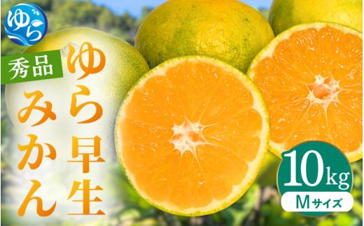 
                  ゆら早生みかん 秀品 Mサイズ 10kg 贈答用※2026年10月上旬～11月中旬頃に順次発送予定 / ゆら早生 柑橘 極早生 フルーツ 果物 くだもの 食品 人気 おすすめ 送料無料 由良町 【ksmt003-r-m-10】
                