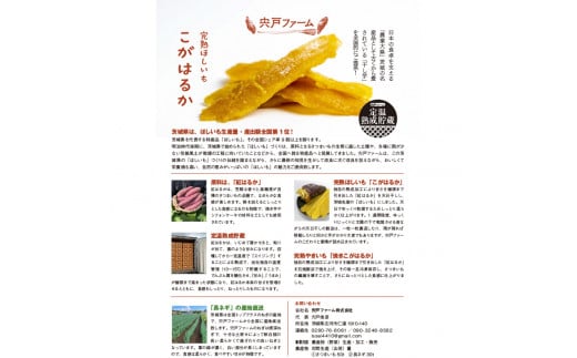 【先行受付】期間限定 完熟ほしいも こがはるか 計1kg（200g×5袋）｜ 茨城県産紅はるか 干し芋 ほしいも さつまいも 紅はるか おやつ スイーツ 国産 ギフト 贈答 贈り物 プレゼント 茨城県