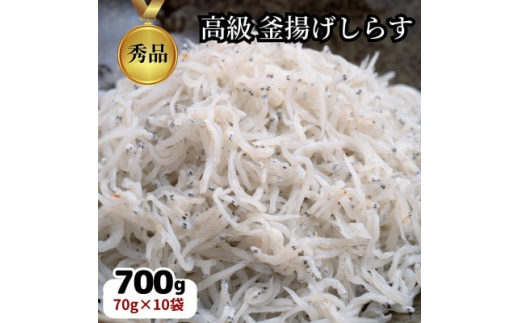 篠島 高級 釜揚げ しらす干し 700g(70g×10袋) CAS冷凍 小分け しらす シラス 釜揚げしらす しらす干し シラス丼 しらす干し しらす丼 釜揚げしらす しらす干し しらすパスタ ふるさと納税しらす ふるさと納税シラス しらす シラス 釜揚げしらす しらす干し チリメンジャコ ちりめん しらす シラス 釜揚げしらす 新鮮 海鮮 魚貝 魚 さかな 人気 おすすめ 愛知県 南知多町