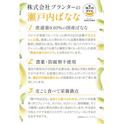 ふるさと納税 笠岡市 フローズン瀬戸内ばなな　P-02 |  | 03