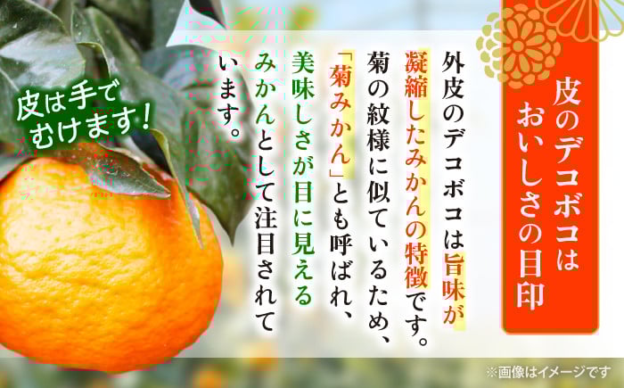 なつみ 5kg みかん マンダリン