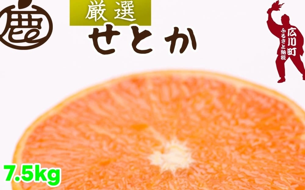 
            厳選 せとか 7.5kg+250g（痛み補償分） 光センサー / 高級 甘い 和歌山 柑橘 ※2月中旬～3月下旬頃発送 ※北海道・沖縄・離島への配送不可 【ikd014-p-7d5】
          