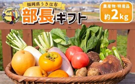 道の駅 うきは 部長ギフト （新鮮な農産物・特産品 約2kg） 野菜 ベジタブル 果物 くだもの フルーツ 農産物 特産品 特産 新鮮 フレッシュ 朝採れ 詰め合わせ 詰合せ セット ミックス お取り