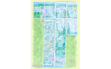 2023年産新茶！長野県天龍村・中井侍地区のお茶（お茶 茶葉 日本茶 緑茶 国産 手摘み 幻のお茶 浅蒸し茶 中井侍銘茶 秘境）【長野県天龍村】