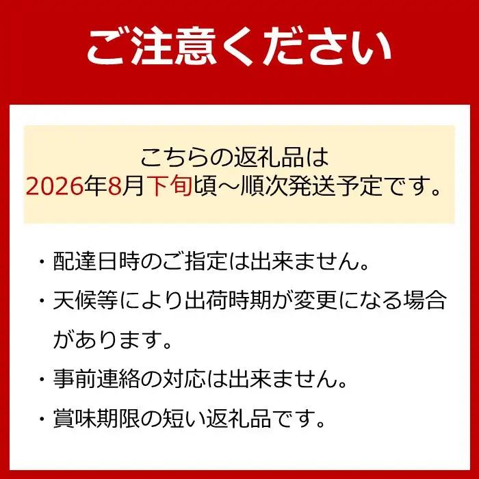 ［先行予約］シャインマスカット 約1kg  (2房～3房) 有田巨峰村 【朝採 新鮮】 ■2026年発送■※8月下旬頃から9月下旬頃まで順次発送予定 | ぶどう シャインマスカット ぶどう
