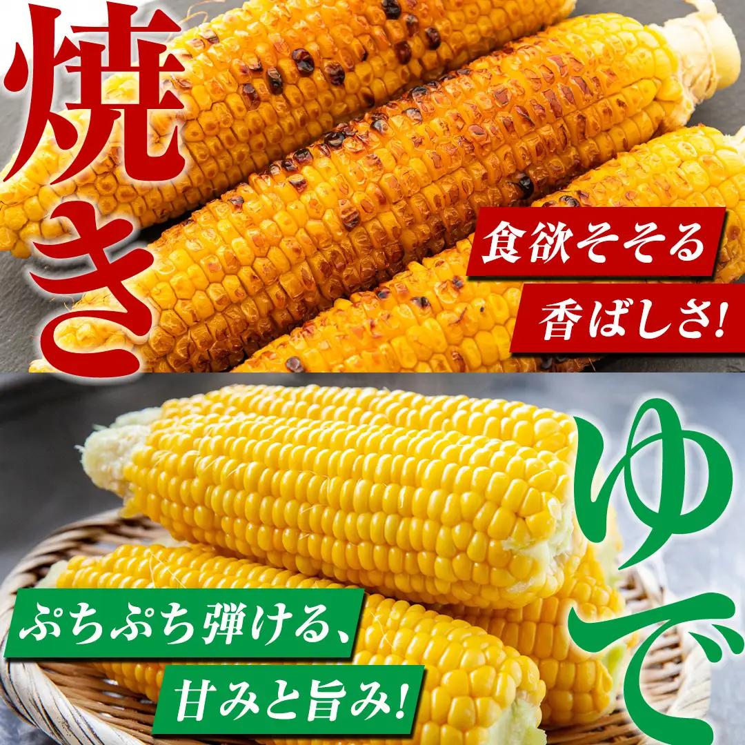 【ふるなびWEEK対象】【8月上旬発送開始】 甘～いトウモロコシ 恵味 5kg 約10～12本 [AL005tu]