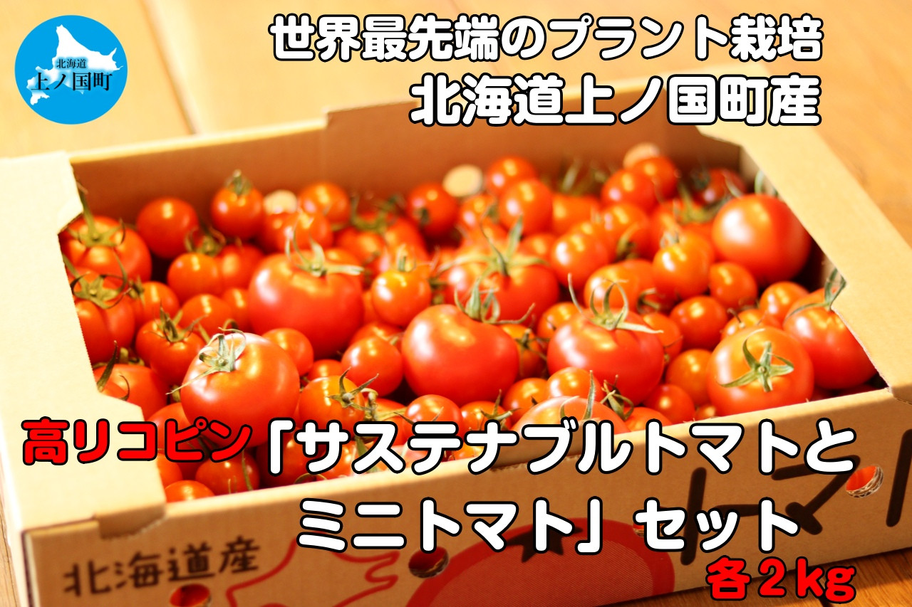 
            寅福菜園のサステナブルトマト＆ミニトマトセット（各2㎏）
          