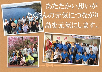 《先行予約》福祉作業所の仕事にもつながる！徳之島の“新”じゃがいも（3kg）( バレイショ 野菜 旬 春 徳之島 奄美 鹿児島 肉じゃが カレー じゃがバター 美味しい 人気 オススメ 福祉作業所 雇
