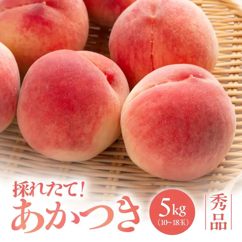 【2026先行予約】 桃 南信州産 あかつき 約5kg 秀品 ＜2026年7月下旬～順次発送＞ ＪＡみなみ信州ＤＭセンター｜長野県 飯田市