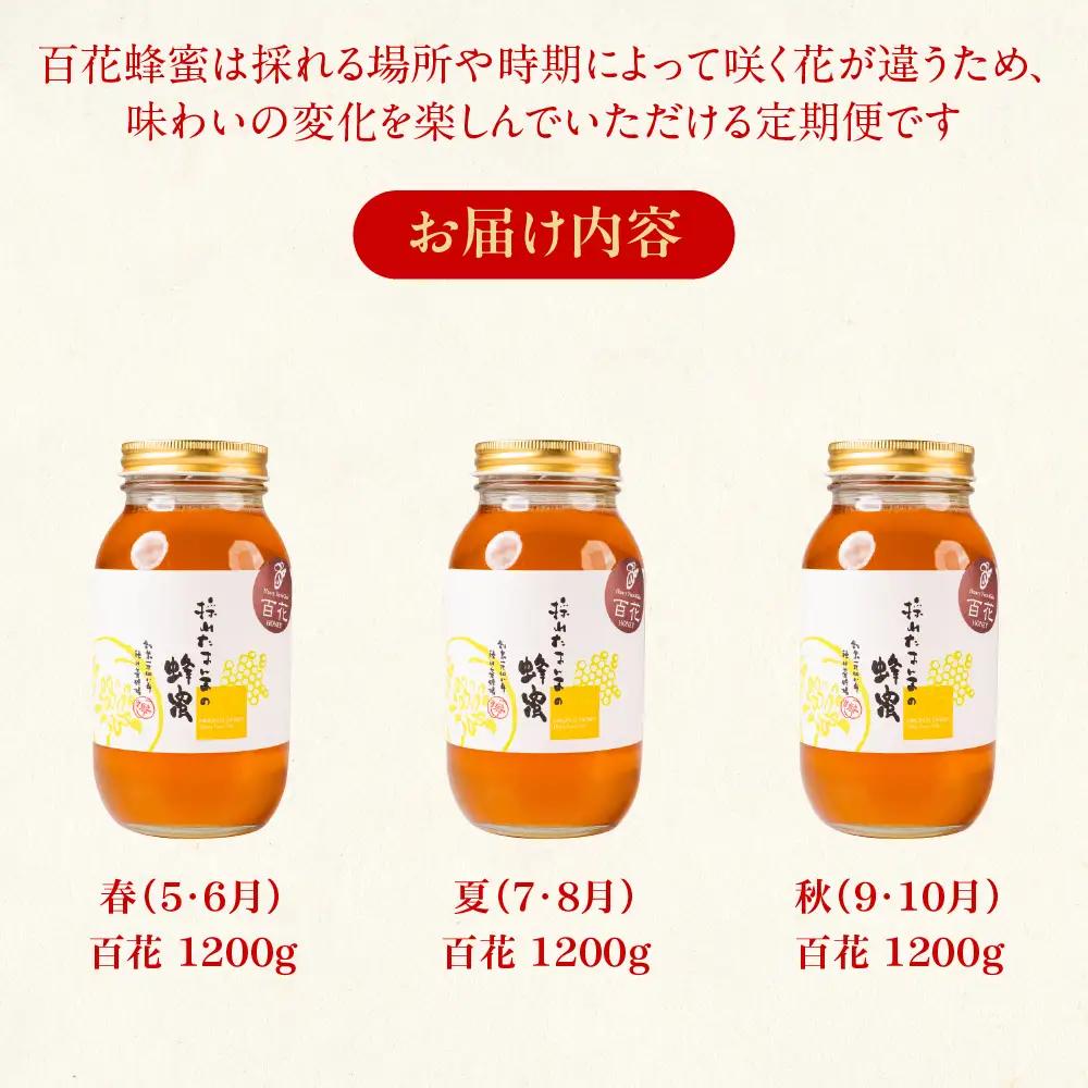 【国産蜂蜜】百花 1200g×3回定期便 蜂蜜