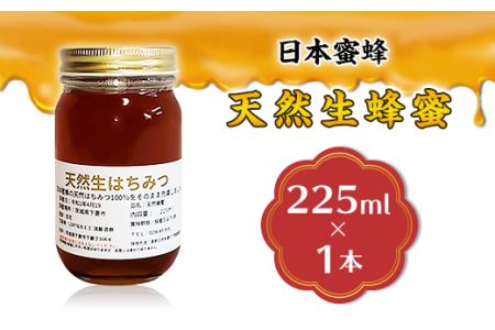 蜂蜜 日本蜜蜂 8月ごろ発送 はちみつ 生蜂蜜