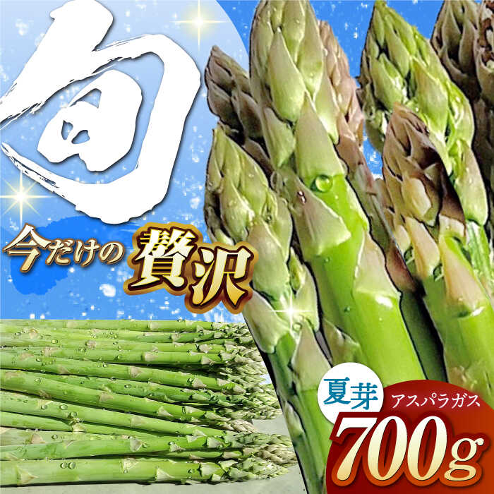 【ふるさと納税】夏芽 アスパラガス 700g【けいちゃん農園】 [HCC005] 野菜 アスパラ アスパラガス 佐賀