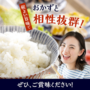 BB6223_ 和歌山県産 にじのきらめき 20kg(5kg×4)（2025年産)