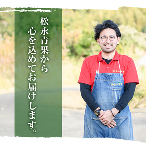 ＜先行予約受付中！2025年5月以降発送予定＞鹿児島県産 えびすかぼちゃ(約5kg) 国産 野菜 かぼちゃ カボチャ 南瓜 煮物 天ぷら バーベキュー BBQ スイーツ お菓子 期間限定【松永青果】a