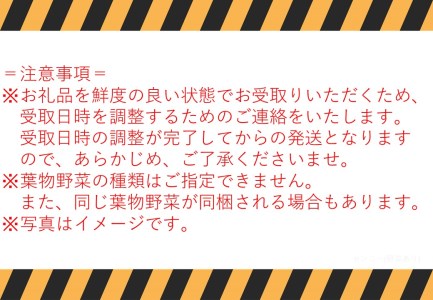 140J.氷温熟成舞茸『鳥取の宝』としいたけ･採れたて野菜セット〔定期便〕