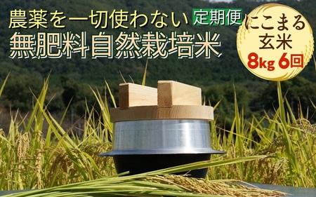 自然栽培米 にこまる 玄米 定期便 8kg×6回