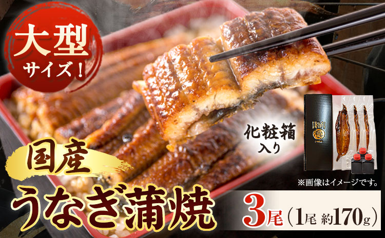 大型サイズふっくら柔らか国産うなぎ蒲焼き3尾化粧箱入魚鶴商店《30日以内に出荷予定(土日祝除く)》うなぎ鰻蒲焼き国産使用---wsh_futsuna_30d_23_27000_3p---