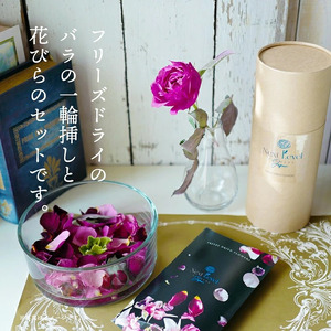 SL0179　水のいらない花　ゼロフラワー「バラ一輪挿し＆花びらセット」