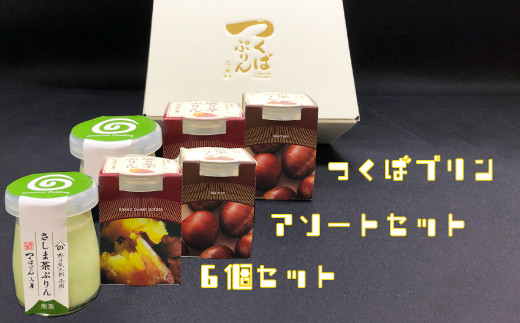 つくばぷりん アソートセット 6個セット プリン ご褒美 手土産 奥久慈卵 卵黄 とろける食感 濃厚 プレーン 6個 冷蔵便 牛乳 生乳 ミルク 卵 スイーツ 洋菓子 おやつ 冷菓 デザート お取り寄せ ギフト プレゼント 贈り物 贈答品 化粧箱