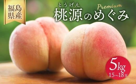 ◆2026年夏発送◆桃源のめぐみ～産直・桃・約5kg～ ※離島への配送不可 ※2026年7月上旬～9月上旬頃に順次発送予定 ｜ 先行予約 予約 数量限定 桃 もも モモ 果物 くだもの フルーツ 詰め合わせ 福島 ふくしま