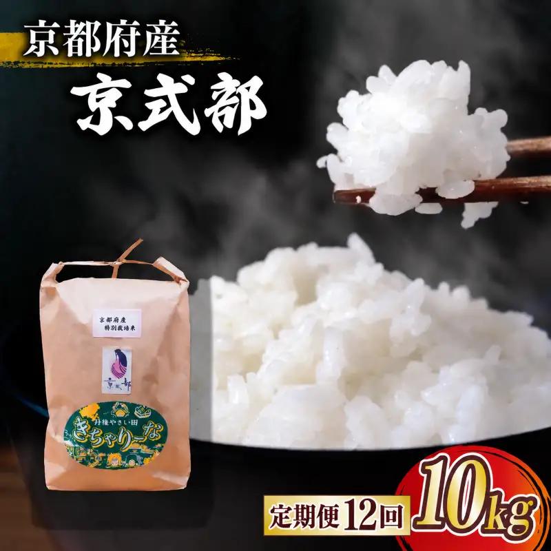 【令和8年産】新米 定期便 京都府産米 京式部 10kg 12回定期便 ブランド米