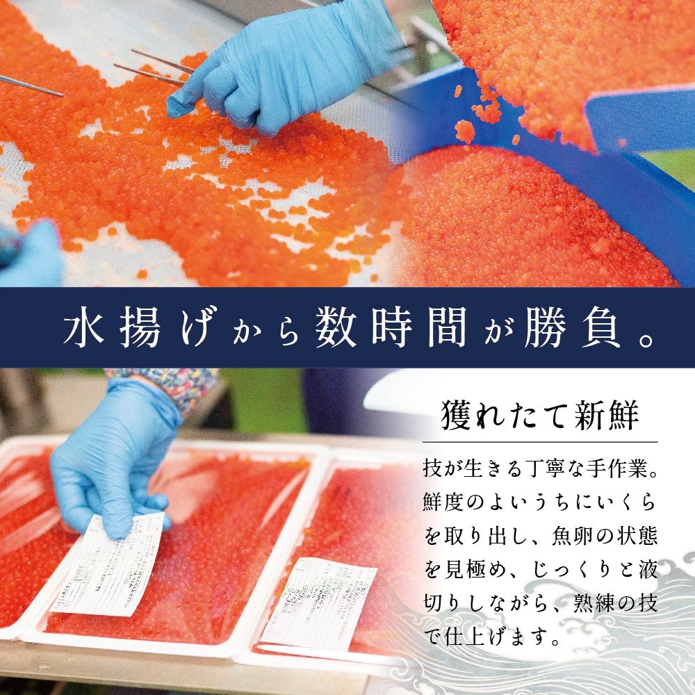 ESSE グランプリ獲得! 2022 ふるさとグランプリ 数量限定！贅沢堪能！北海道産 鮭いくら 醤油漬け 500g＜いくら丼6～8杯分！＞ 鱒（マス）ではなく、北海道産の鮭（サケ）のいくらですMT0