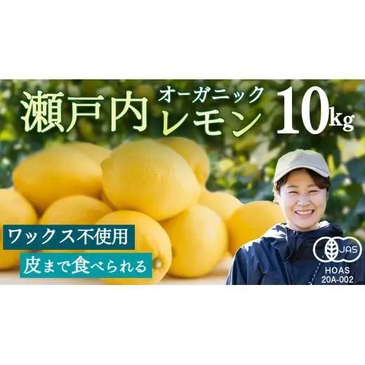 オーガニック 瀬戸内レモン 先行予約 ノーワックス 防腐剤不使用 防カビ剤不使用 有機JAS認証 有機栽培 産地直送 ふじやファーム 約10kg 国産 広島 大崎上島町産 【 2027年 1月 ～ 5月 発送】