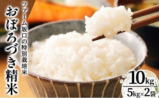 令和7年産!ファーム坂口の特別栽培米 おぼろづき精米 10kg(5kg×2) | 北海道岩見沢産 おぼろづき 玄米 5kg 10kg 15kg 北海道 岩見沢市