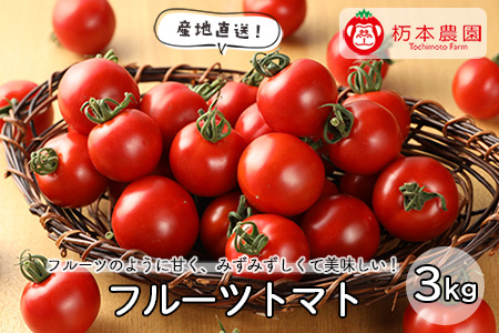 【期間限定】【発送期間：2025年7月上旬頃から順次】産地直送！杤本農園  フルーツトマト  3kg入り ミディトマト  とまと 生野菜 季節限定【45-7】